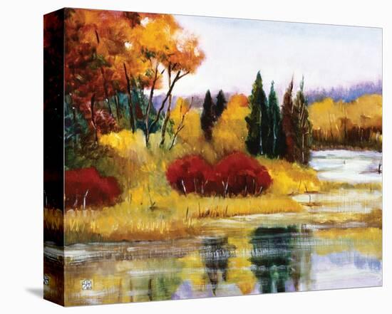 Colorado Fall Dream-Judith D'Agostino-Stretched Canvas