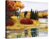 Colorado Fall Dream-Judith D'Agostino-Stretched Canvas