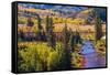 Colorado Fall Foliage-duallogic-Framed Stretched Canvas