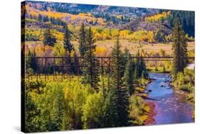 Colorado Fall Foliage-duallogic-Stretched Canvas