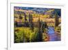 Colorado Fall Foliage-duallogic-Framed Photographic Print