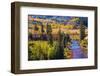 Colorado Fall Foliage-duallogic-Framed Photographic Print
