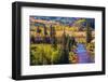 Colorado Fall Foliage-duallogic-Framed Photographic Print