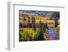 Colorado Fall Foliage-duallogic-Framed Photographic Print