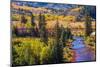 Colorado Fall Foliage-duallogic-Mounted Photographic Print