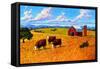 Colorado Farm In Late Summer-Patty Baker-Framed Stretched Canvas