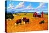 Colorado Farm In Late Summer-Patty Baker-Stretched Canvas