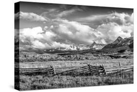 Colorado Fields-Dan Ballard-Stretched Canvas