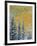 Colorado, Grand Mesa. Early Snowfall on Forest-Jaynes Gallery-Framed Photographic Print