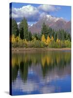 Colorado, Gunnison National Forest, Mount Owens-John Barger-Stretched Canvas