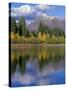 Colorado, Gunnison National Forest, Mount Owens-John Barger-Stretched Canvas