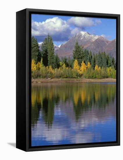 Colorado, Gunnison National Forest, Mount Owens-John Barger-Framed Stretched Canvas