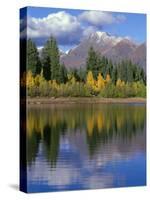 Colorado, Gunnison National Forest, Mount Owens-John Barger-Stretched Canvas