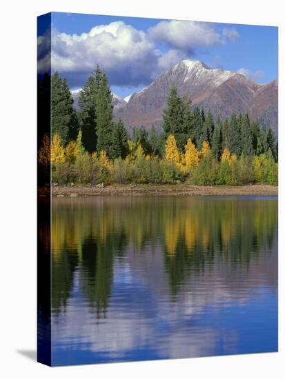 Colorado, Gunnison National Forest, Mount Owens-John Barger-Stretched Canvas