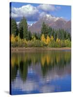 Colorado, Gunnison National Forest, Mount Owens-John Barger-Stretched Canvas