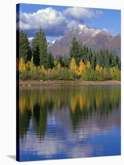 Colorado, Gunnison National Forest, Mount Owens-John Barger-Stretched Canvas