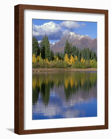 Colorado, Gunnison National Forest, Mount Owens-John Barger-Framed Photographic Print