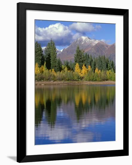 Colorado, Gunnison National Forest, Mount Owens-John Barger-Framed Photographic Print