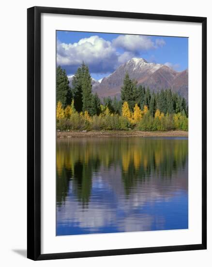 Colorado, Gunnison National Forest, Mount Owens-John Barger-Framed Photographic Print