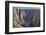 Colorado, Gunnison National Park. Scenic in Black Canyon-Jaynes Gallery-Framed Photographic Print
