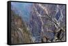 Colorado, Gunnison National Park. Scenic of Black Canyon-Jaynes Gallery-Framed Stretched Canvas