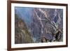 Colorado, Gunnison National Park. Scenic of Black Canyon-Jaynes Gallery-Framed Photographic Print