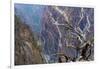 Colorado, Gunnison National Park. Scenic of Black Canyon-Jaynes Gallery-Framed Photographic Print