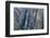 Colorado, Gunnison National Park. Scenic of Black Canyon-Jaynes Gallery-Framed Photographic Print