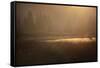 Colorado, Little Molas Lake. Mist Rises Off Wetlands at Sunrise-Jaynes Gallery-Framed Stretched Canvas