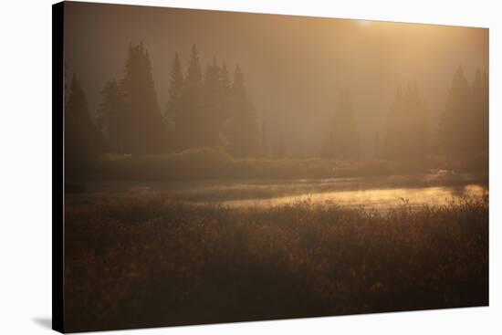 Colorado, Little Molas Lake. Mist Rises Off Wetlands at Sunrise-Jaynes Gallery-Stretched Canvas