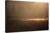 Colorado, Little Molas Lake. Mist Rises Off Wetlands at Sunrise-Jaynes Gallery-Stretched Canvas