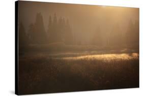 Colorado, Little Molas Lake. Mist Rises Off Wetlands at Sunrise-Jaynes Gallery-Stretched Canvas