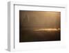 Colorado, Little Molas Lake. Mist Rises Off Wetlands at Sunrise-Jaynes Gallery-Framed Photographic Print