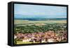 Colorado Living-duallogic-Framed Stretched Canvas