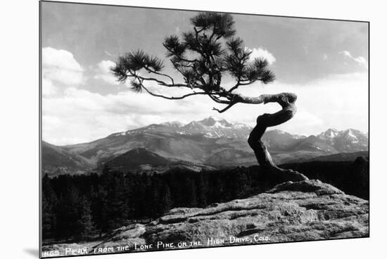 Colorado - Longs Peak from the Lone Pine on High Drive-Lantern Press-Mounted Premium Giclee Print