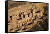 Colorado, Mesa Verde National Park, Cliff Palace, over 700 Years Old-David Wall-Framed Stretched Canvas