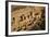 Colorado, Mesa Verde National Park, Cliff Palace, over 700 Years Old-David Wall-Framed Photographic Print