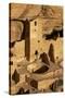 Colorado, Mesa Verde National Park, Cliff Palace, over 700 Years Old-David Wall-Stretched Canvas