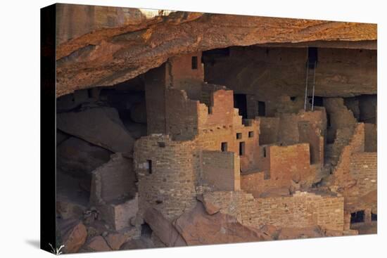 Colorado, Mesa Verde National Park, Cliff Palace, over 700 Years Old-David Wall-Stretched Canvas