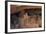 Colorado, Mesa Verde National Park, Cliff Palace, over 700 Years Old-David Wall-Framed Photographic Print