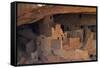 Colorado, Mesa Verde National Park, Cliff Palace, over 700 Years Old-David Wall-Framed Stretched Canvas