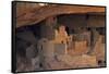 Colorado, Mesa Verde National Park, Cliff Palace, over 700 Years Old-David Wall-Framed Stretched Canvas