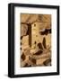 Colorado, Mesa Verde National Park, Cliff Palace, over 700 Years Old-David Wall-Framed Photographic Print