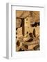 Colorado, Mesa Verde National Park, Cliff Palace, over 700 Years Old-David Wall-Framed Photographic Print