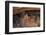 Colorado, Mesa Verde National Park, Cliff Palace, over 700 Years Old-David Wall-Framed Photographic Print