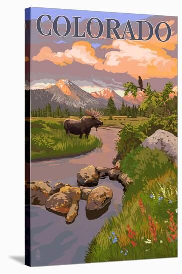 Colorado - Moose and Meadow Scene-Lantern Press-Stretched Canvas