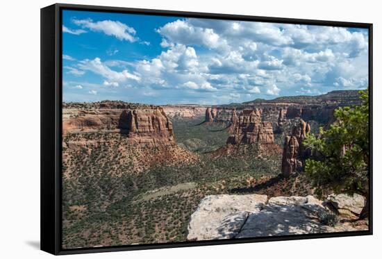 Colorado National Monument, Colorado-daniloforcellini-Framed Stretched Canvas