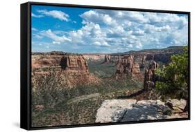 Colorado National Monument, Colorado-daniloforcellini-Framed Stretched Canvas