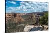 Colorado National Monument, Colorado-daniloforcellini-Stretched Canvas