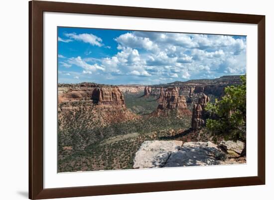 Colorado National Monument, Colorado-daniloforcellini-Framed Photographic Print